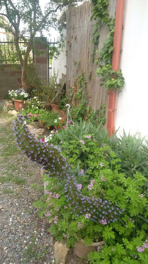 Lovely House Daire Nebida Dış mekan fotoğraf